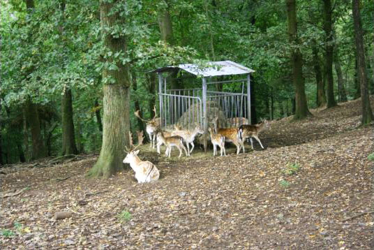 Parc Animalier de Bouillon